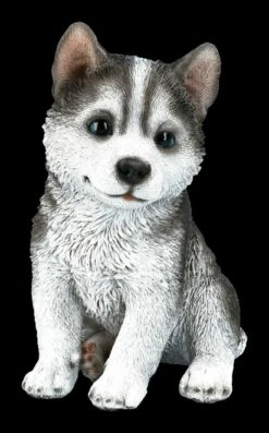 Hunde Figur - Husky Welpe