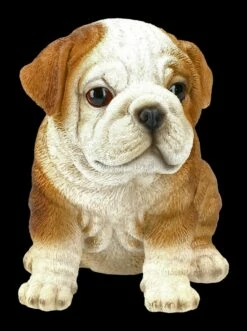 Hunde Figur - Bulldogge Welpe