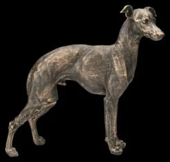 Hunde Figur - Greyhound Rüde