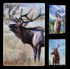 3D Postkarte - Hirsche