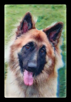 3D Postkarte Mit Hund - Schäferhund Welpe