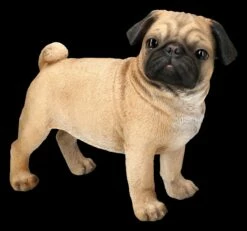 Mops Figur Stehend