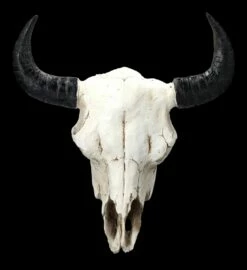 Wanddeko - Bison Totenkopf