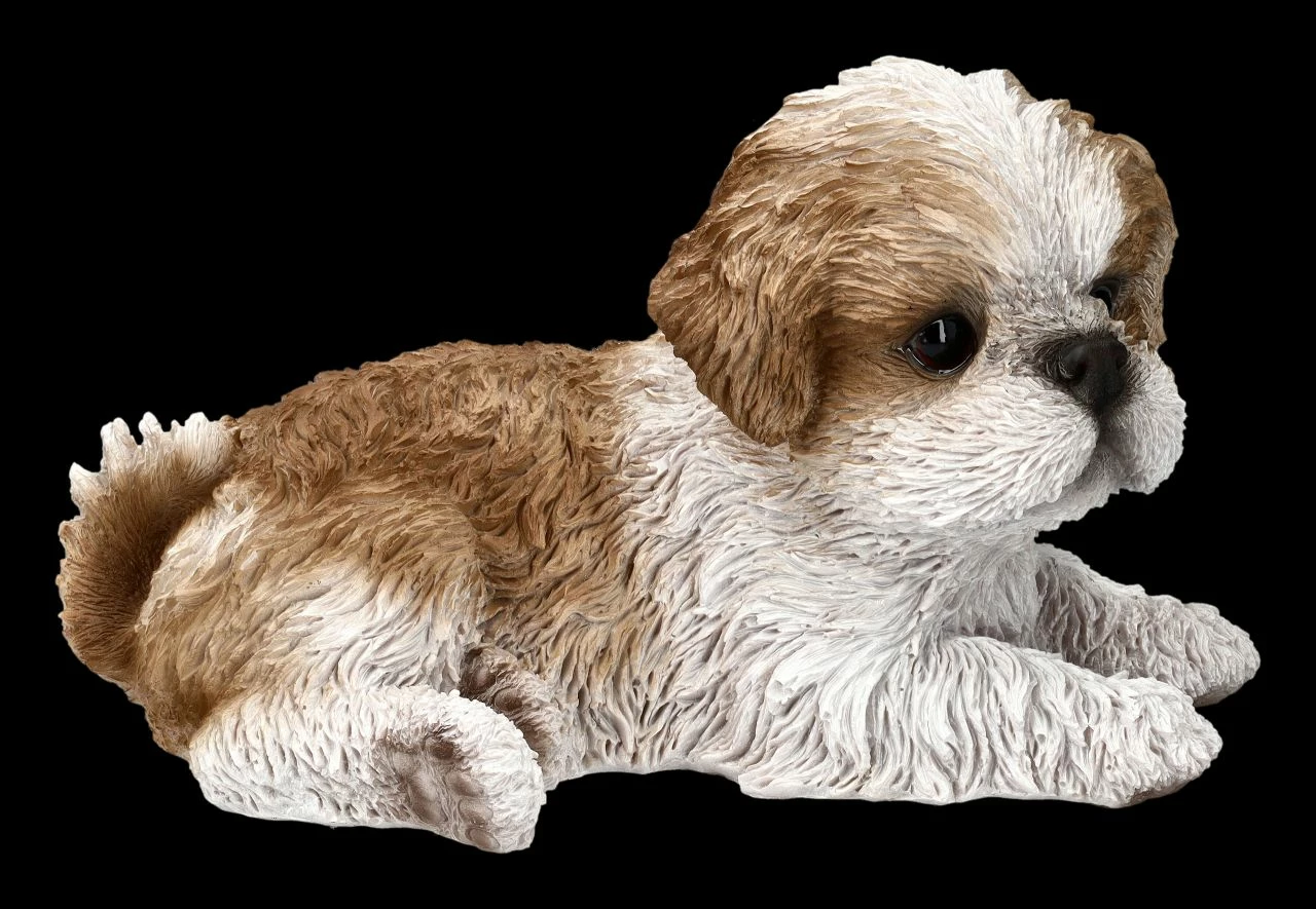 Shih Tzu Welpen Figur Liegend