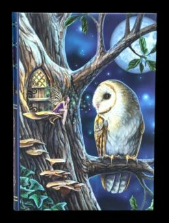 Notizbuch Eule Mit Elfe - Fairy Tales