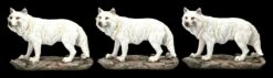 Wolf Figuren - Stehend Weiß 3er Set