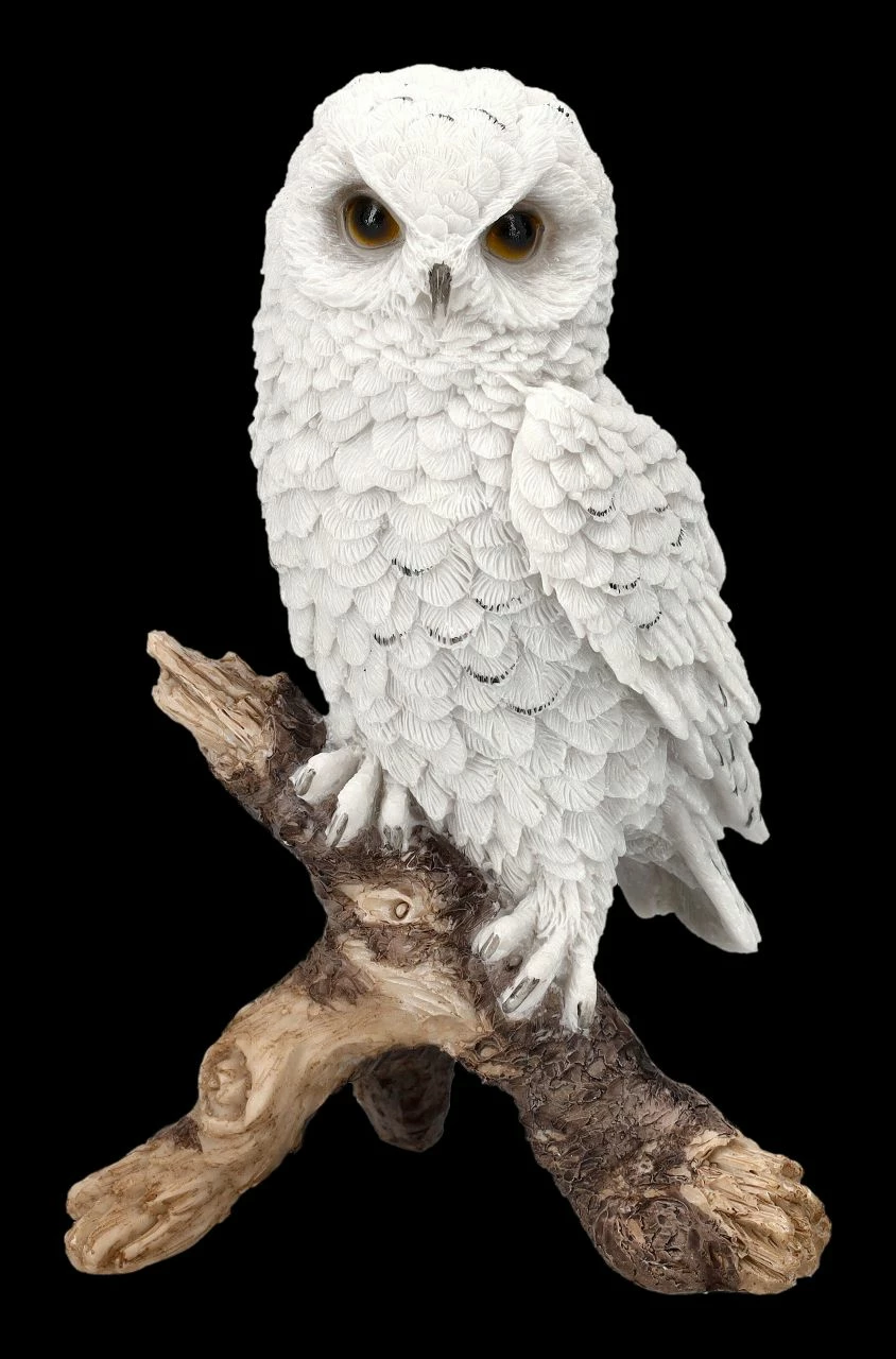 Schneeeulen Figur Sitzt Auf Ast