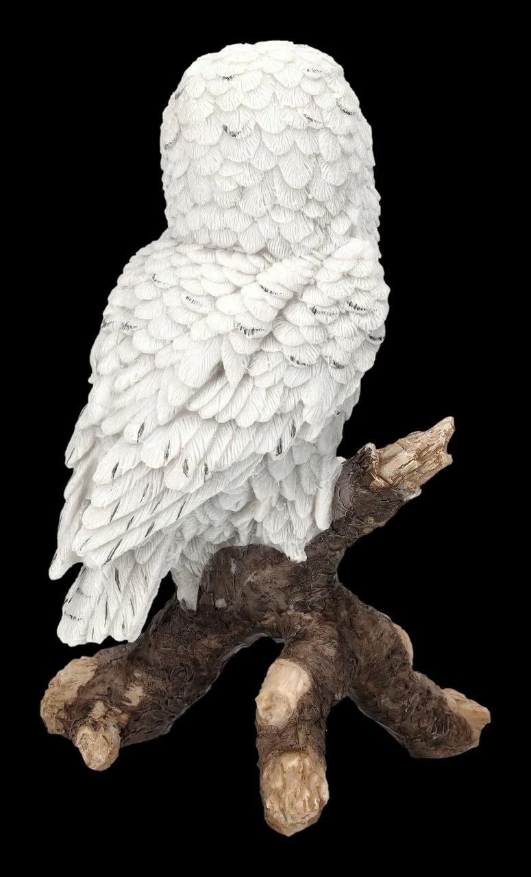 Schneeeulen Figur Sitzt Auf Ast – Bild 5