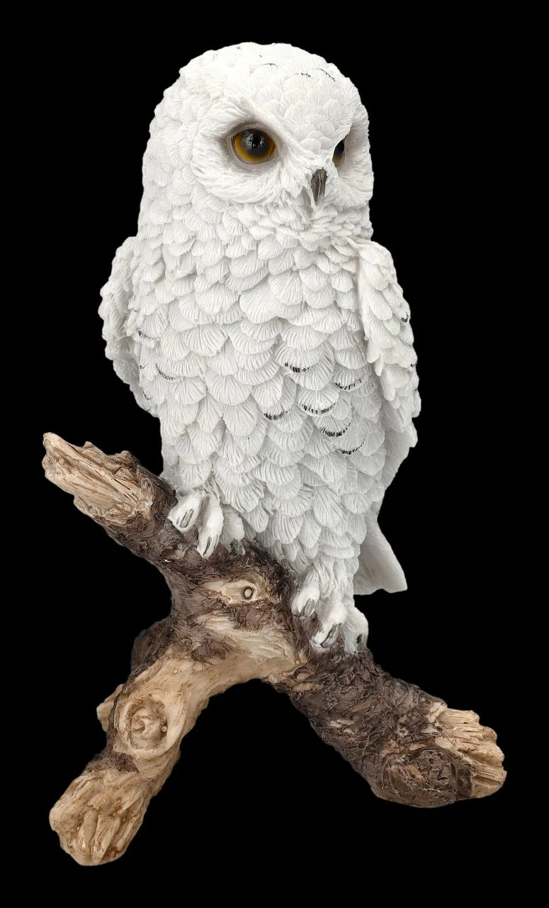 Schneeeulen Figur Sitzt Auf Ast – Bild 2