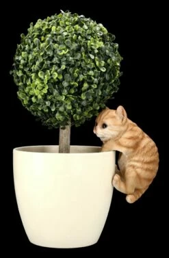 Katzen Baby Figur Als Blumentopf-Hänger