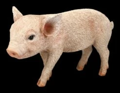 Schweine Figur - Kleines Schweinchen