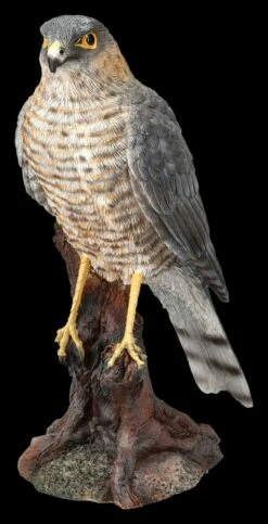Greifvogel Figur - Sperber
