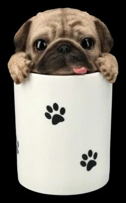 Leckerli Dose Hunde - Mops