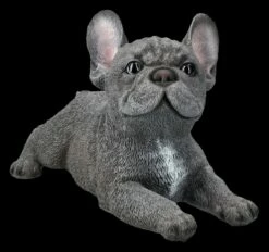 Französische Bulldogge Welpe Figur Liegend Grau