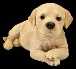 Labrador Welpe Figur Liegend