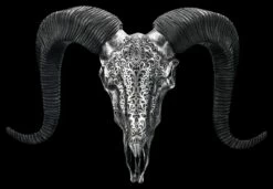 Wandrelief - Widderschädel Mit Verzierungen Groß Silber