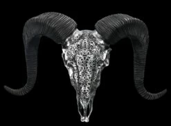 Wandrelief - Widderschädel Mit Verzierungen Mittel Silber