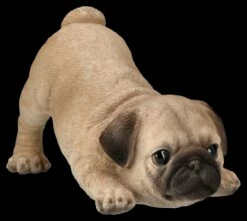 Hundefigur - Mops Welpe Will Spielen