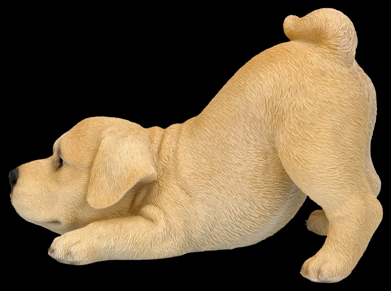 Hundefigur - Labrador Welpe Will Spielen – Bild 4