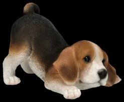 Hundefigur - Beagle Welpe Will Spielen