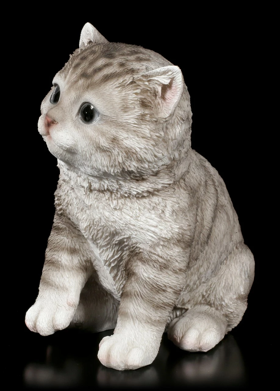 Baby Katzen Figur - Amerikanisch Kurzhaar Sitzend – Bild 2