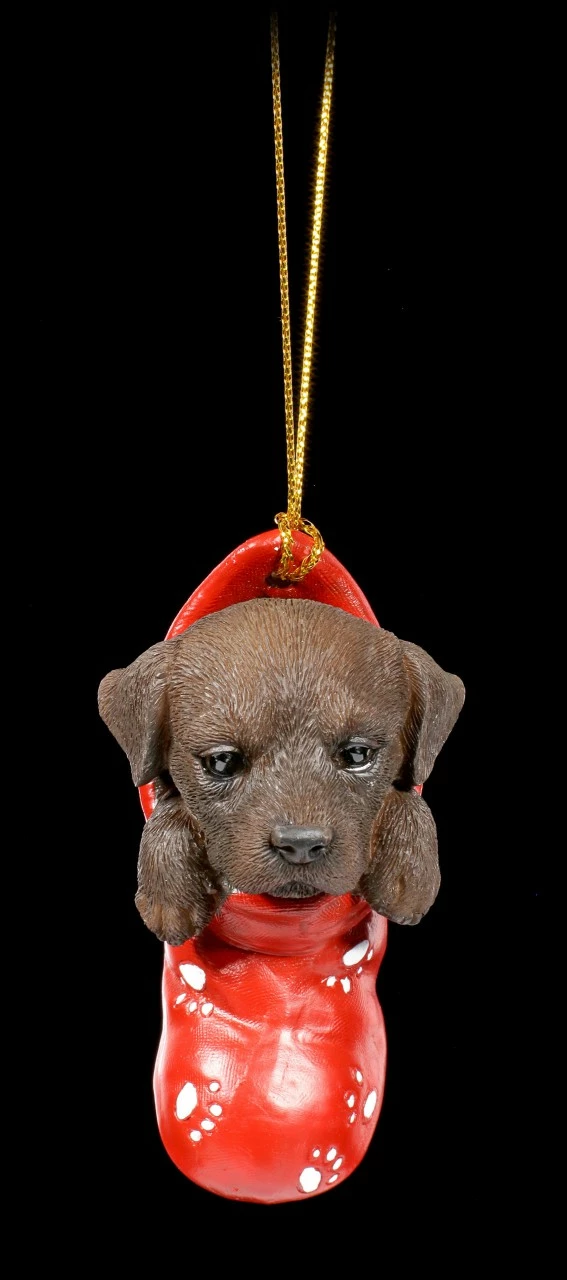 Christbaumschmuck Hund - Chocolate Labrador Im Strumpf – Bild 3