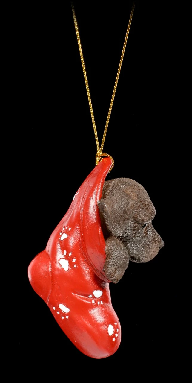 Christbaumschmuck Hund - Chocolate Labrador Im Strumpf – Bild 4