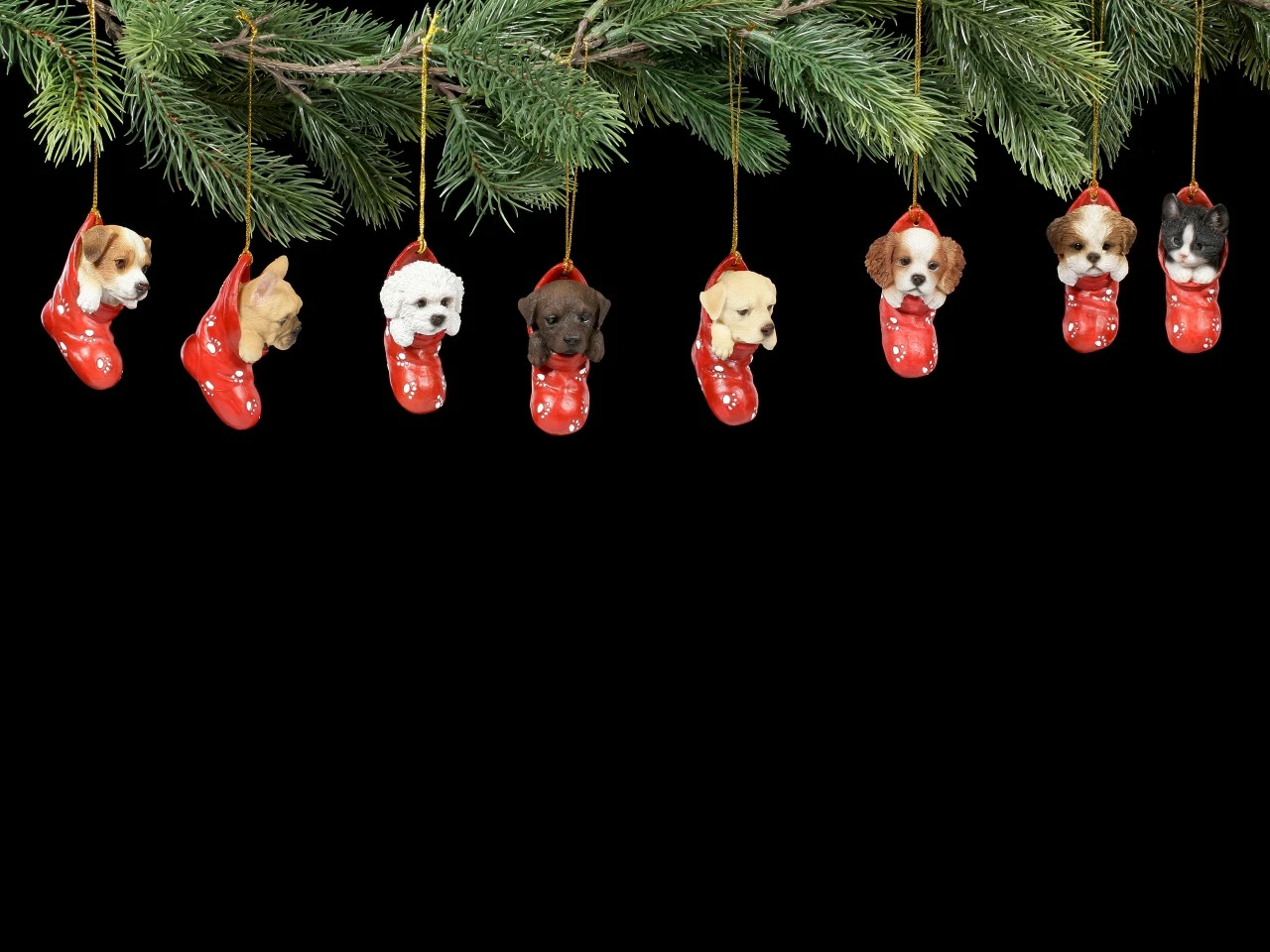 Christbaumschmuck Hund - Französische Bulldogge – Bild 5