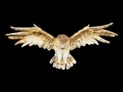 Eulen Figur Zum Hängen - Wisdom Flight