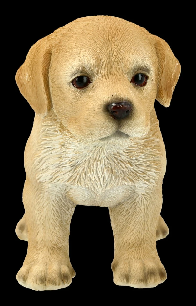 Hunde Figur - Labrador Welpe – Bild 2