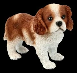 Hunde Figur - King-Charles-Spaniel Welpe