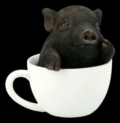 Schwarzes Schweinchen In Tasse