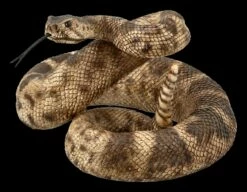 Klapperschlangen Figur - Drohend