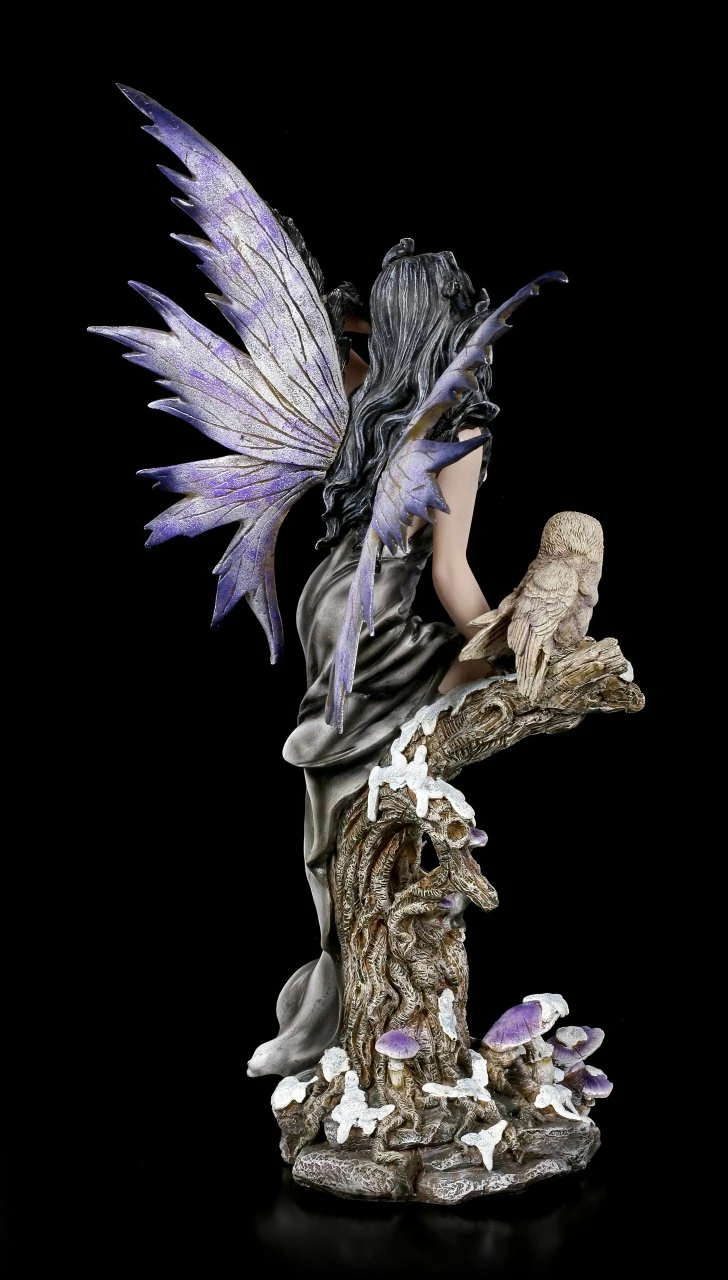 Große Fee - Noctua Mit Eule – Bild 5