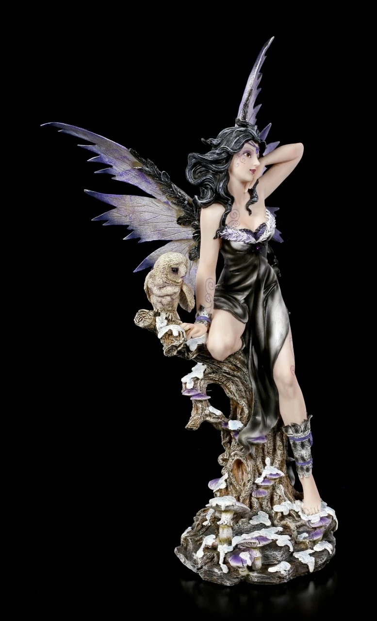 Große Fee - Noctua Mit Eule – Bild 6