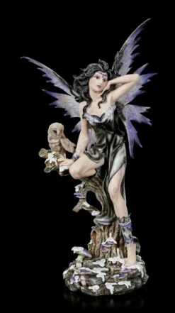 Große Fee - Noctua Mit Eule