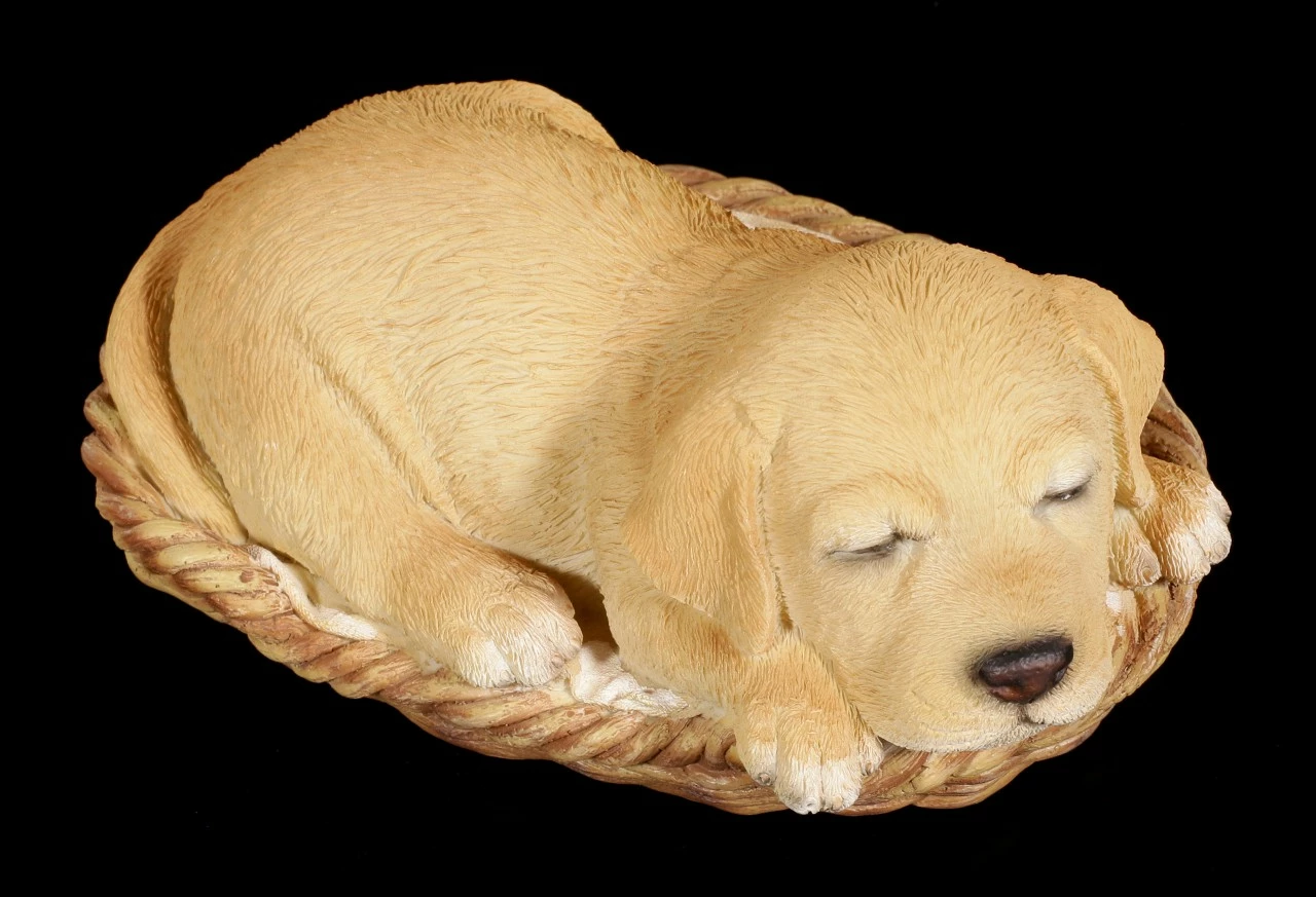 Hund In Körbchen Figur - Labrador – Bild 6