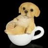 Hunde Figur Mini - Labrador Welpe In Tasse
