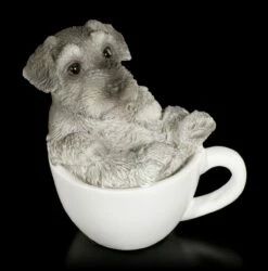 Hunde Figur Mini - Schnauzer Welpe In Tasse