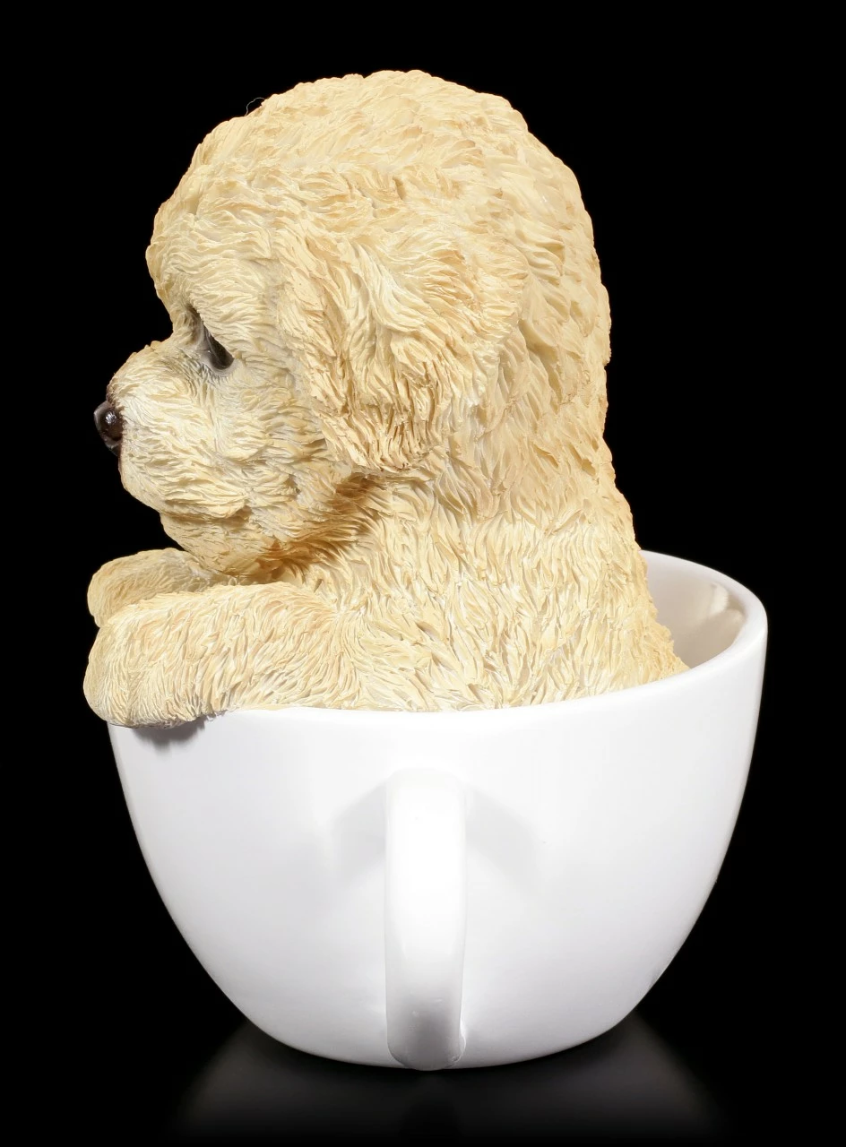 Hund In Tasse - Pudel Welpe – Bild 3