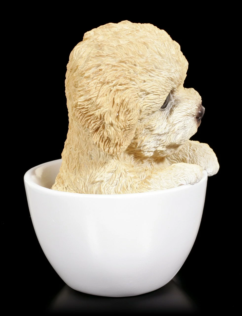 Hund In Tasse - Pudel Welpe – Bild 5
