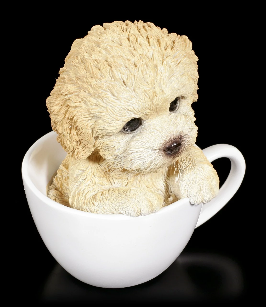 Hund In Tasse - Pudel Welpe – Bild 6