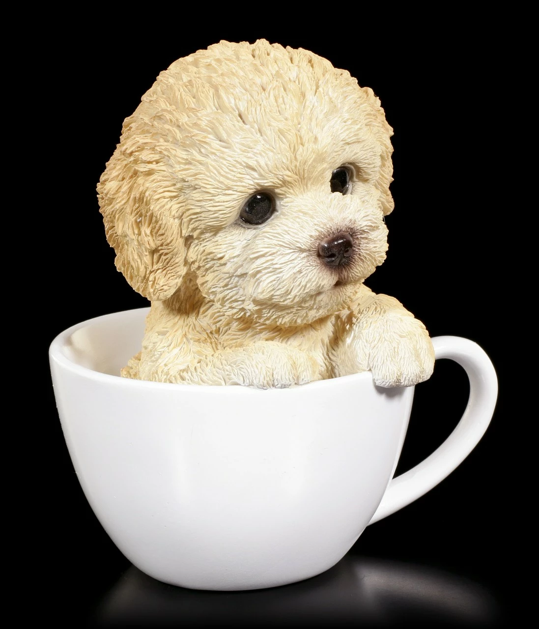 Hund In Tasse - Pudel Welpe – Bild 2