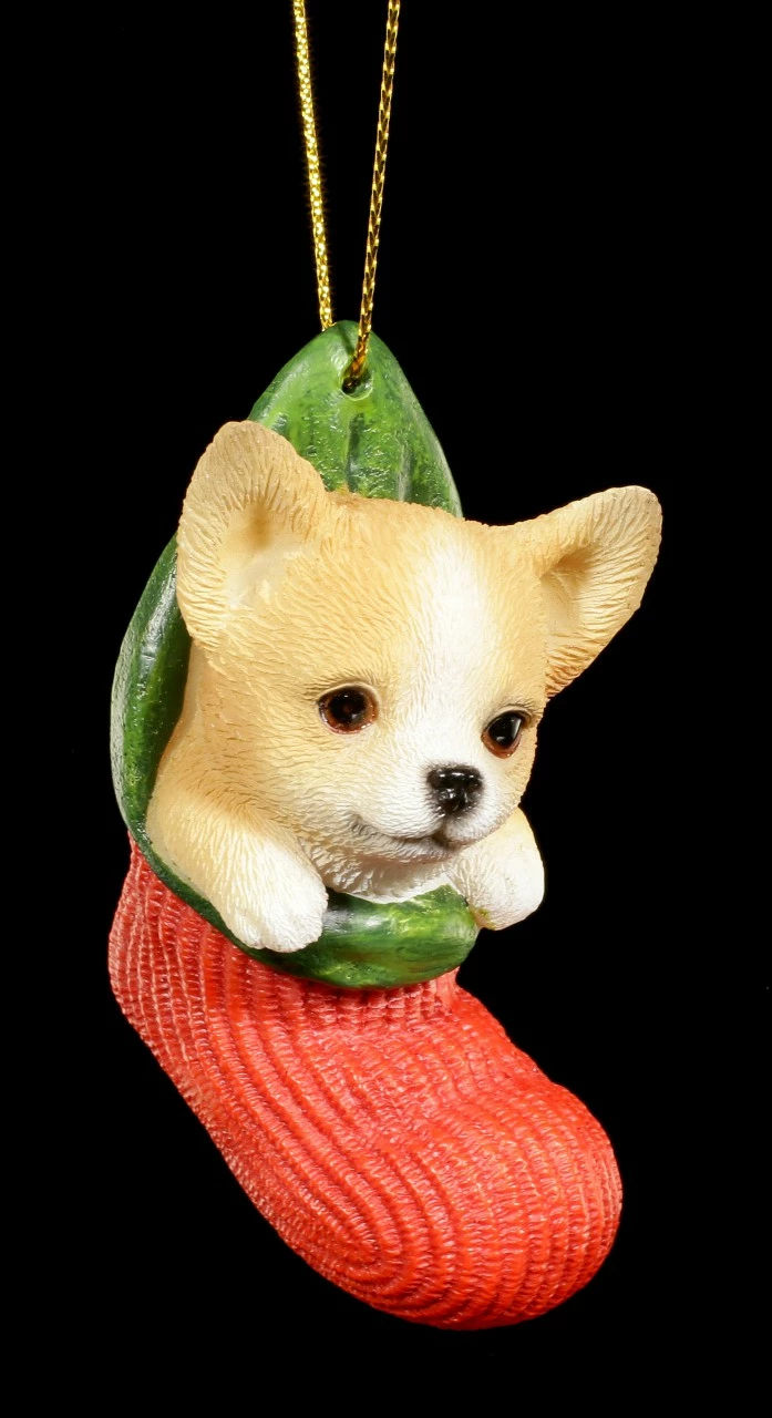 Christbaum-Schmuck Hund - Chihuahua Im Strumpf – Bild 2