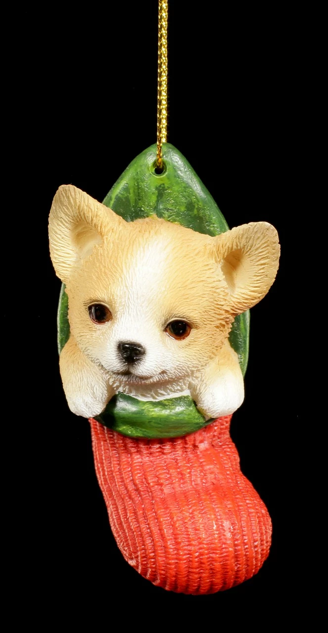 Christbaum-Schmuck Hund - Chihuahua Im Strumpf – Bild 3