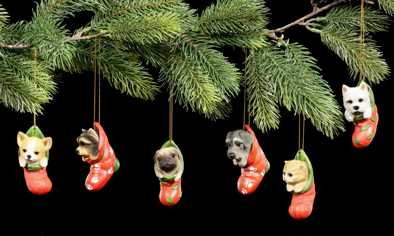 Christbaum-Schmuck Hund - Chihuahua Im Strumpf – Bild 5