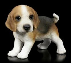 Hunde Figur - Beagle Welpe Stehend