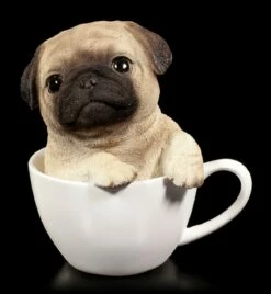 Hunde Figur - Mops Welpe In Tasse