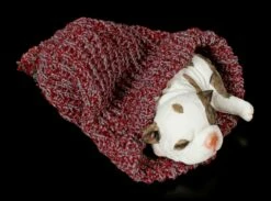 Hunde Figur Schlafend In Roter Mütze