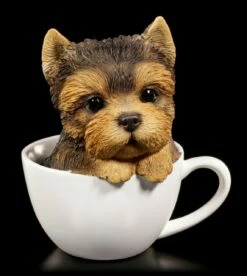 Hunde Figur - Yorkshire Terrier Welpe In Tasse
